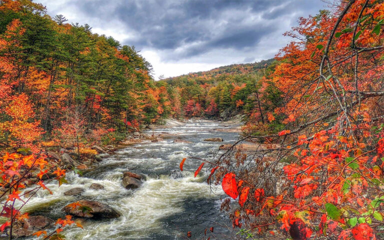 برنامج سياحي جورجيا اسبوع فاخر
