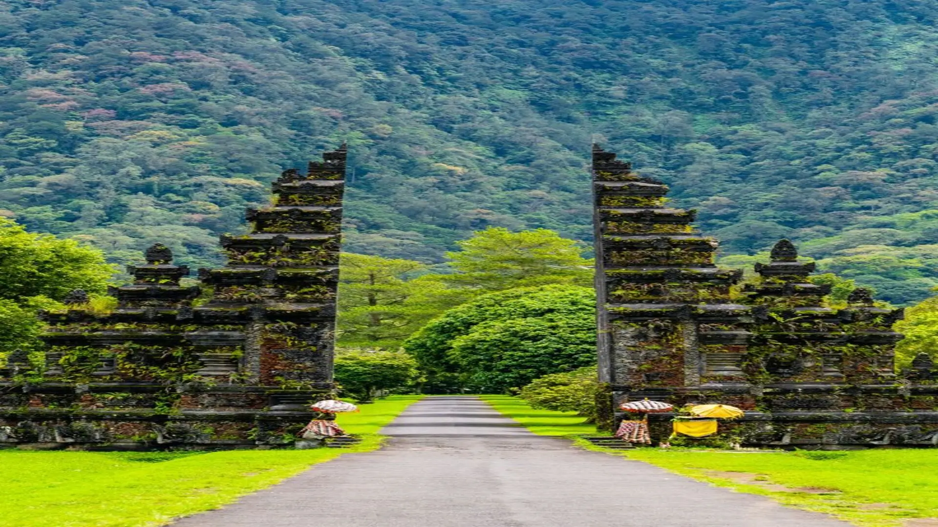 عروض السفر إلى بالي