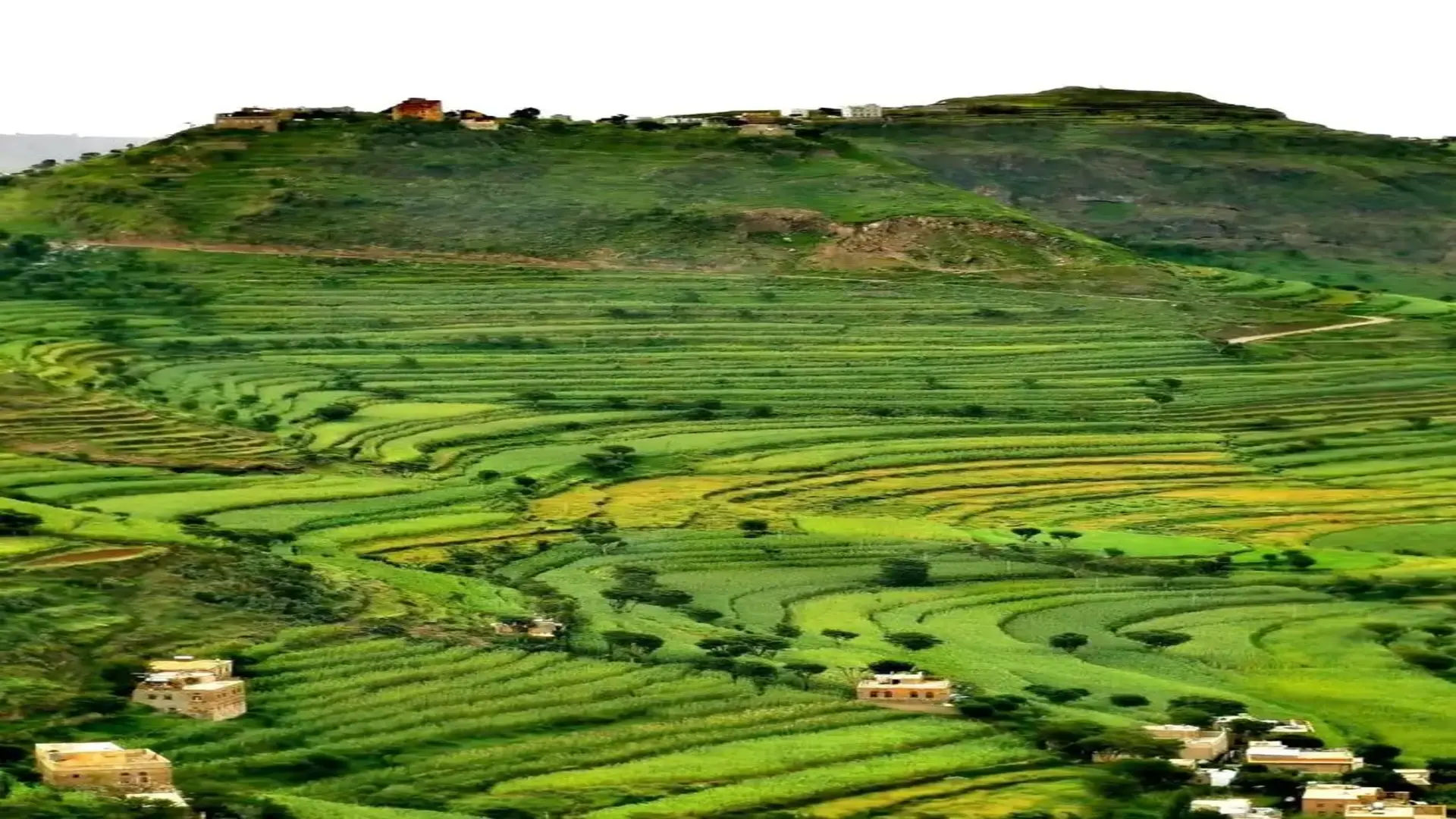 الجبل الاخضر اندونيسيا