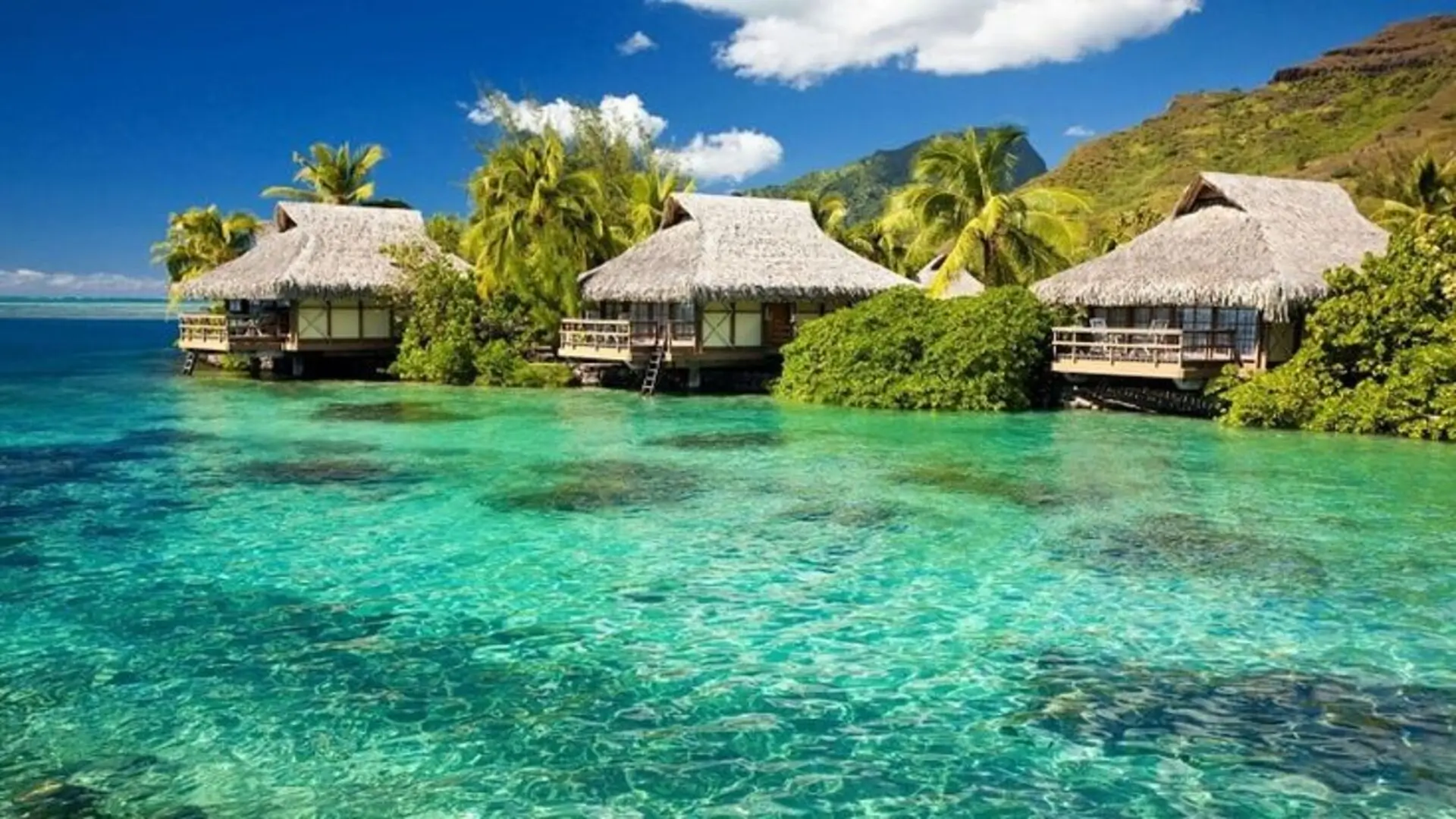 جزيرة فو كوك